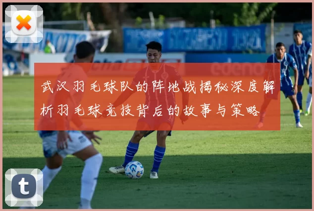武汉羽毛球队的阵地战揭秘深度解析羽毛球竞技背后的故事与策略