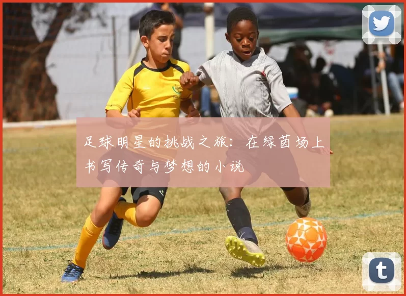 足球明星的挑战之旅：在绿茵场上书写传奇与梦想的小说