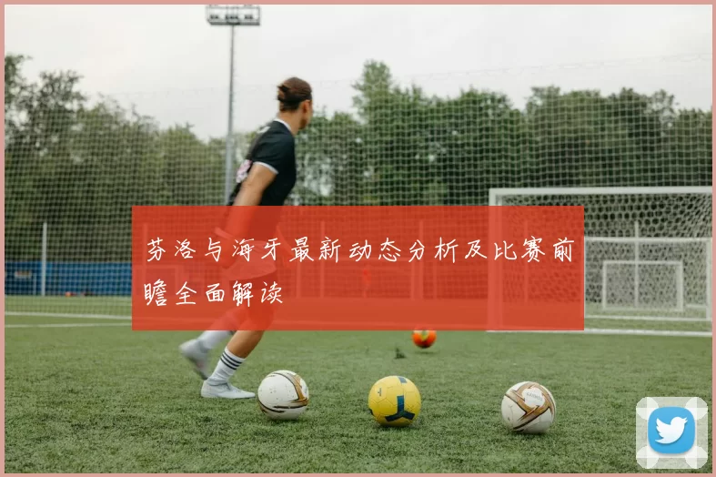芬洛与海牙最新动态分析及比赛前瞻全面解读