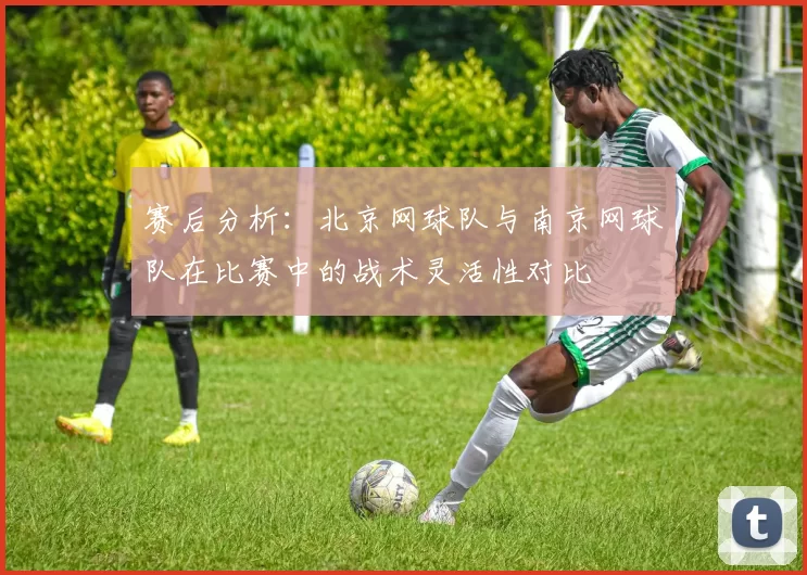 赛后分析：北京网球队与南京网球队在比赛中的战术灵活性对比