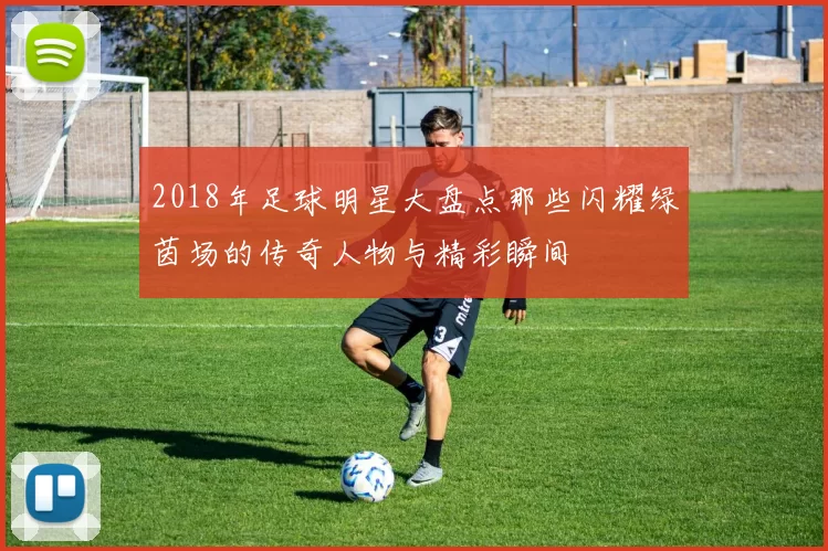 2018年足球明星大盘点那些闪耀绿茵场的传奇人物与精彩瞬间