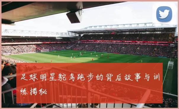 足球明星鸵鸟跑步的背后故事与训练揭秘