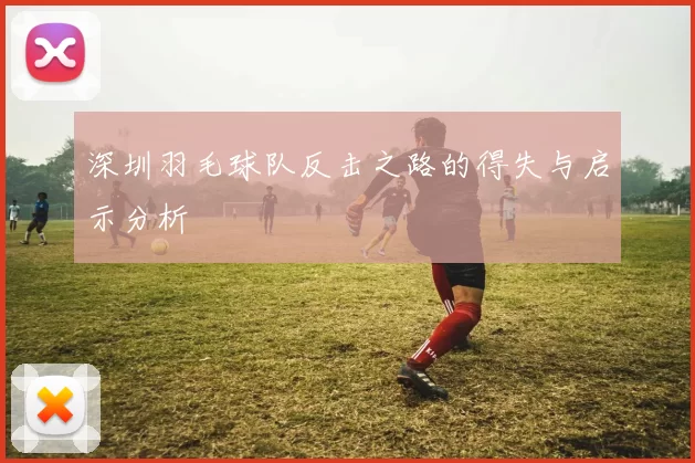 深圳羽毛球队反击之路的得失与启示分析