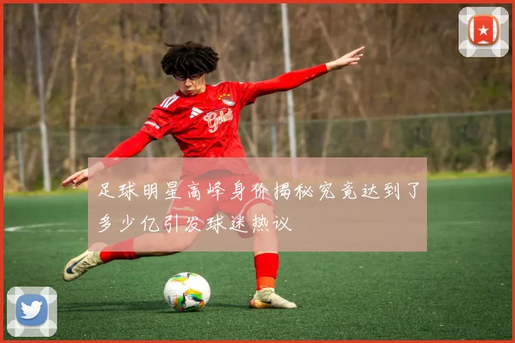 足球明星高峰身价揭秘究竟达到了多少亿引发球迷热议
