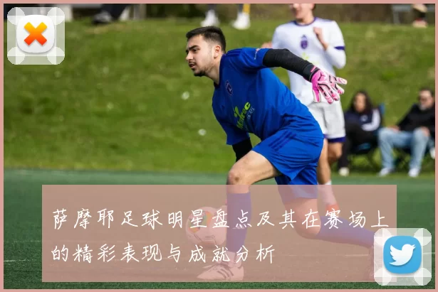 萨摩耶足球明星盘点及其在赛场上的精彩表现与成就分析