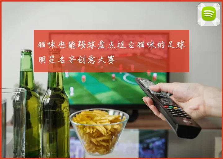 猫咪也能踢球盘点适合猫咪的足球明星名字创意大赛