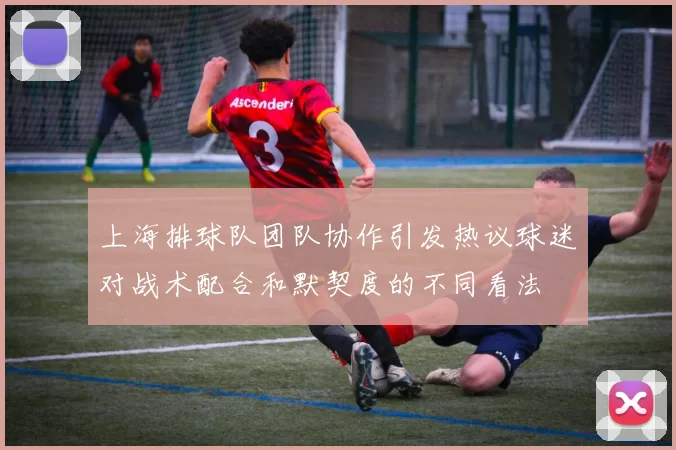 上海排球队团队协作引发热议球迷对战术配合和默契度的不同看法
