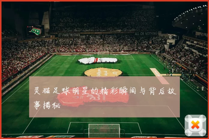 灵猫足球明星的精彩瞬间与背后故事揭秘
