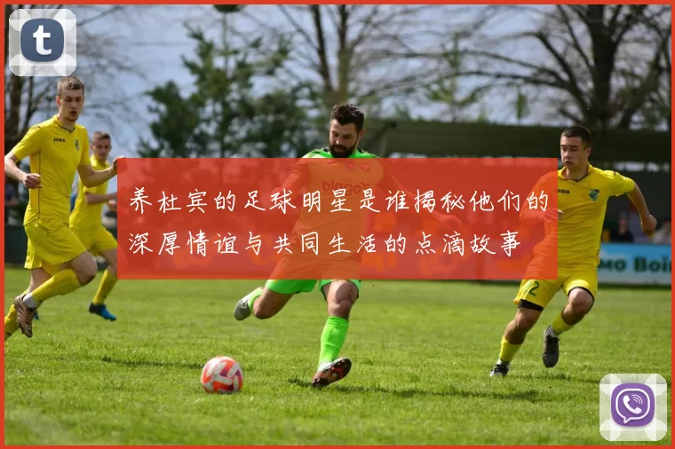 养杜宾的足球明星是谁揭秘他们的深厚情谊与共同生活的点滴故事