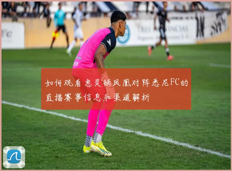 如何观看惠灵顿凤凰对阵悉尼FC的直播赛事信息和渠道解析