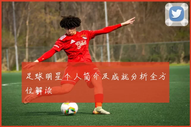足球明星个人简介及成就分析全方位解读